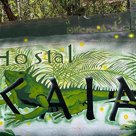 Hostal Kaia Σάντα Μάρτα Εξωτερικό φωτογραφία