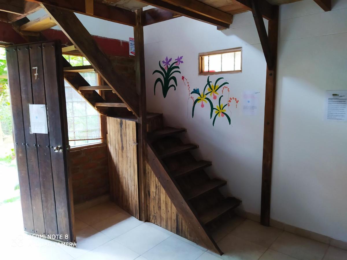 Hostal Kaia Σάντα Μάρτα Εξωτερικό φωτογραφία