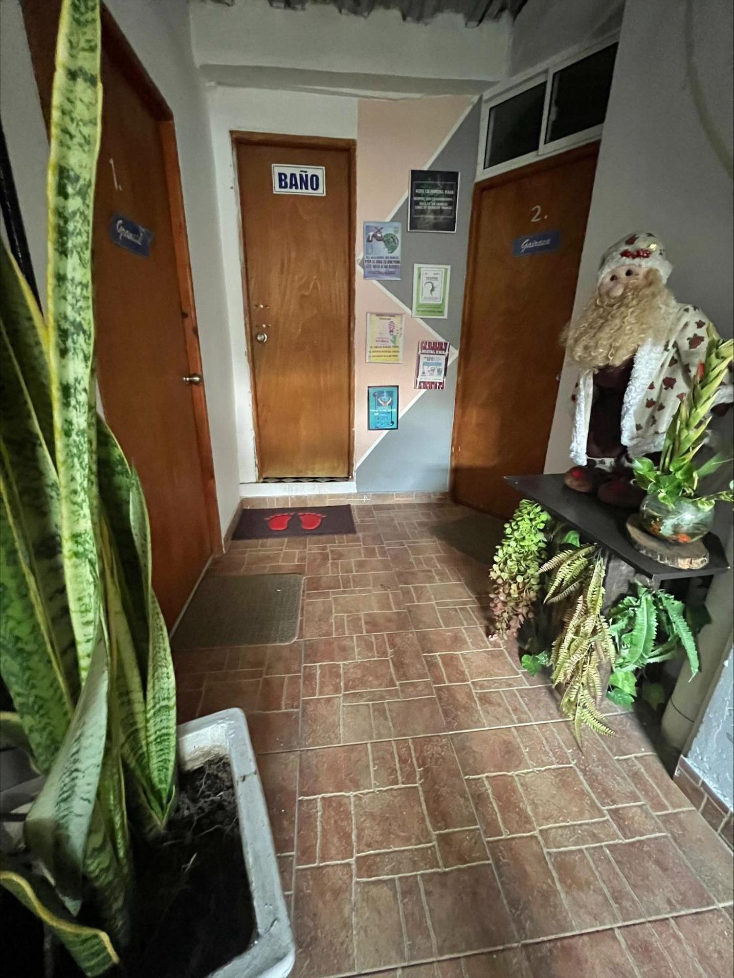 Hostal Kaia Σάντα Μάρτα Εξωτερικό φωτογραφία