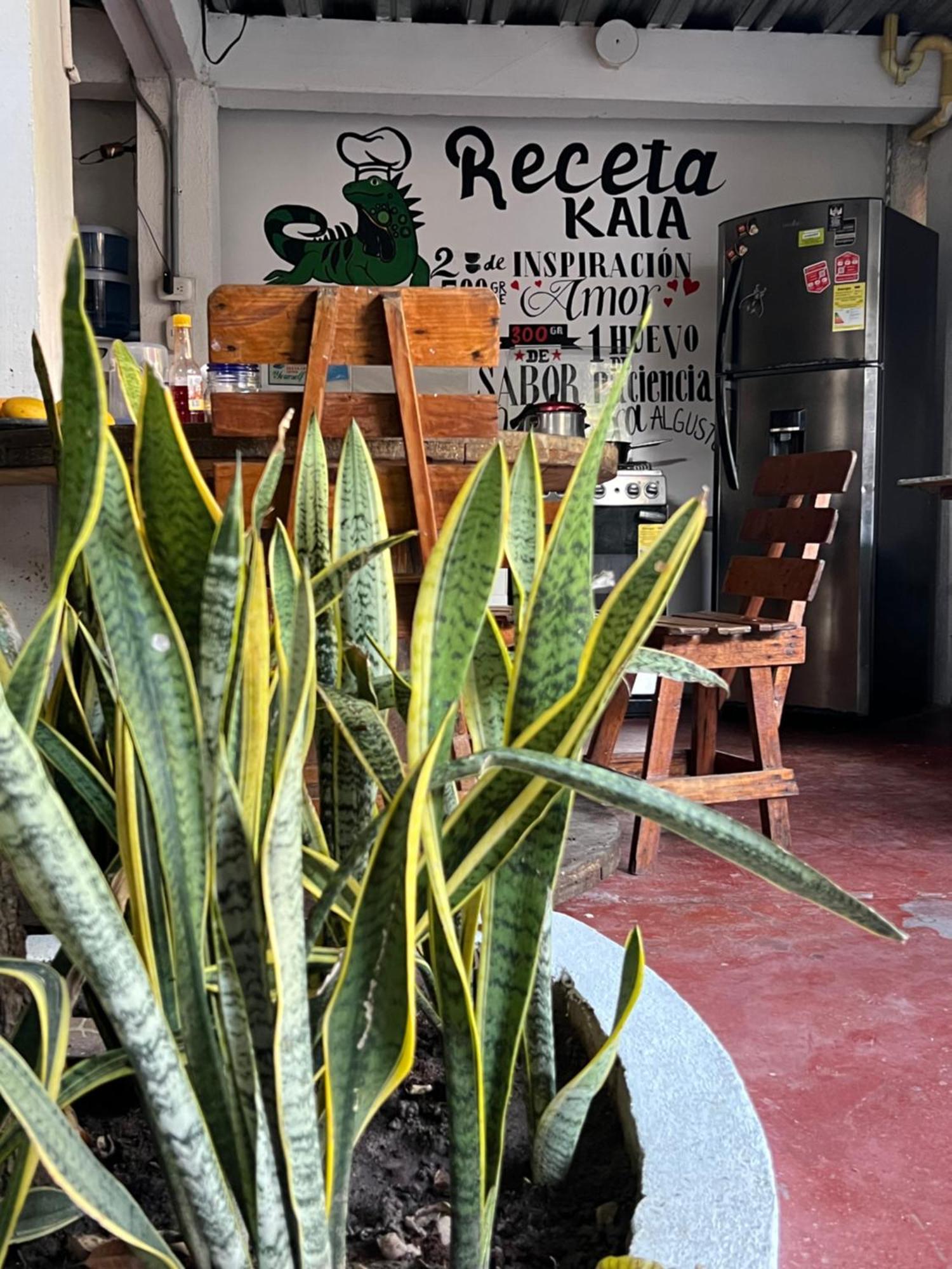 Hostal Kaia Σάντα Μάρτα Εξωτερικό φωτογραφία