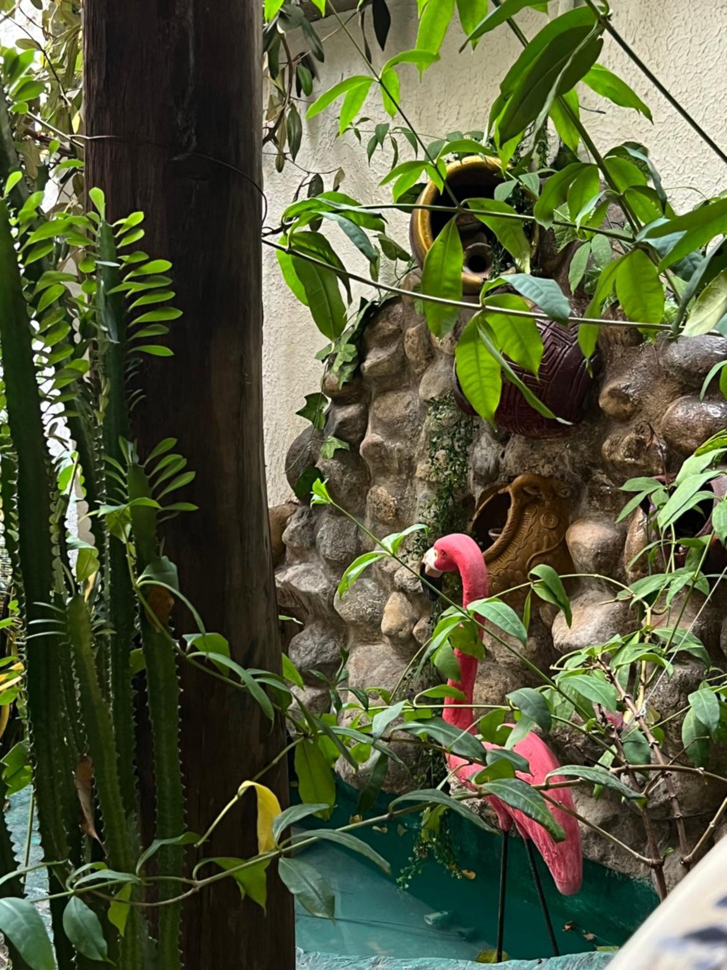 Hostal Kaia Σάντα Μάρτα Εξωτερικό φωτογραφία